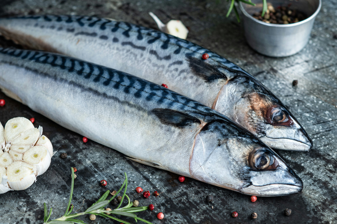 Magnesium-Rich Mackerel