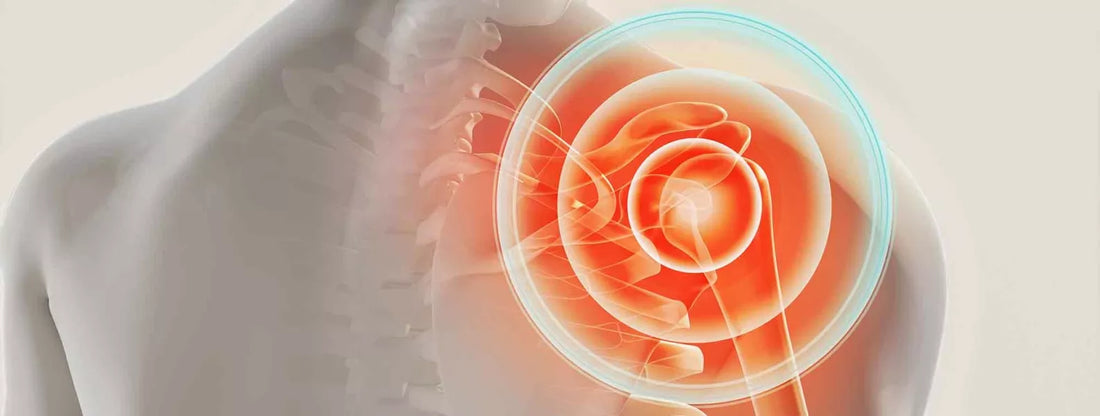 an image of a persons back illustrating back pain