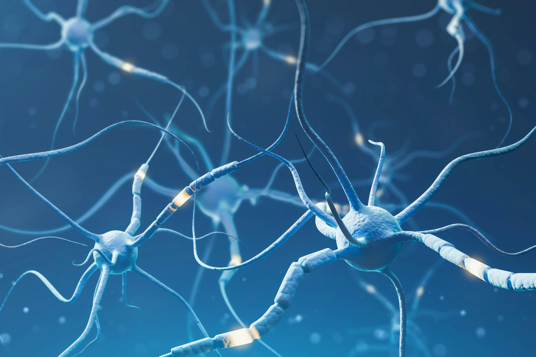 Magnesium Levels Vital to Brain and Mental Health